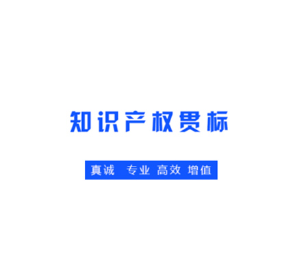 知識產(chǎn)權管理體系（貫標）